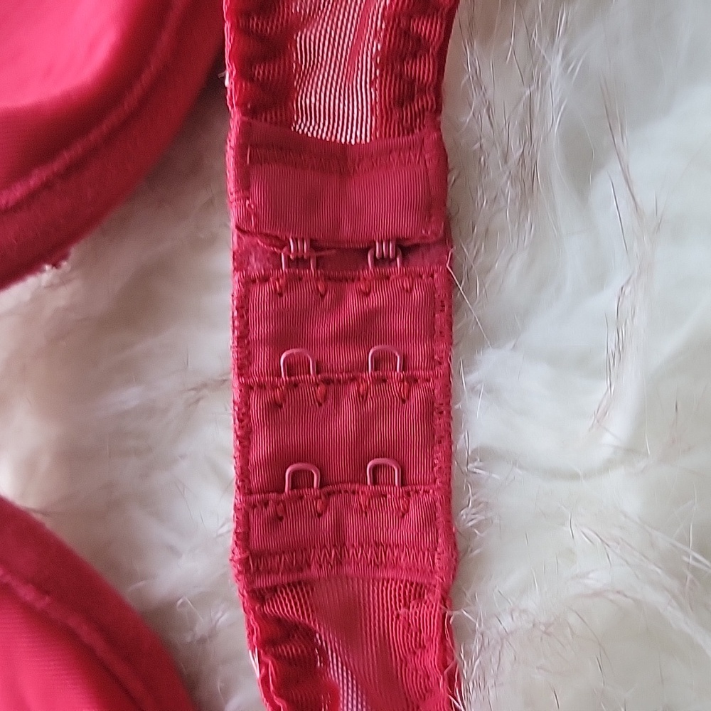 Red Lace Bra - Picture 3 of 5